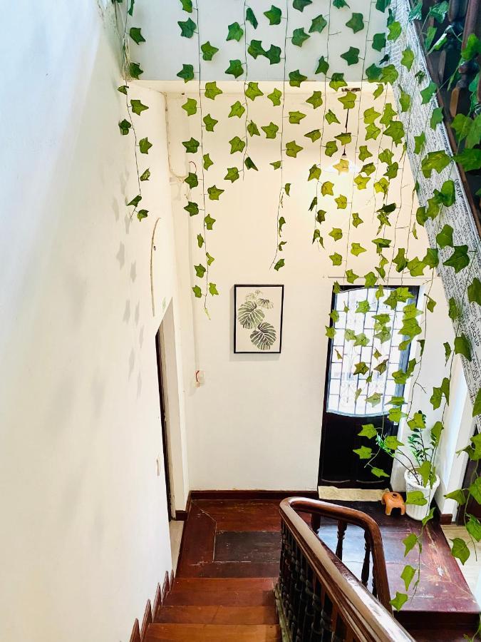 Tabi Homestay Hue Exterior foto